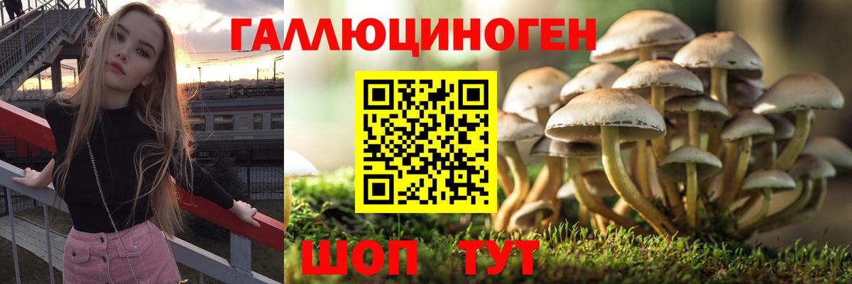Галлюциногенные грибы мухоморы  Вход с VPN  Ипатово 